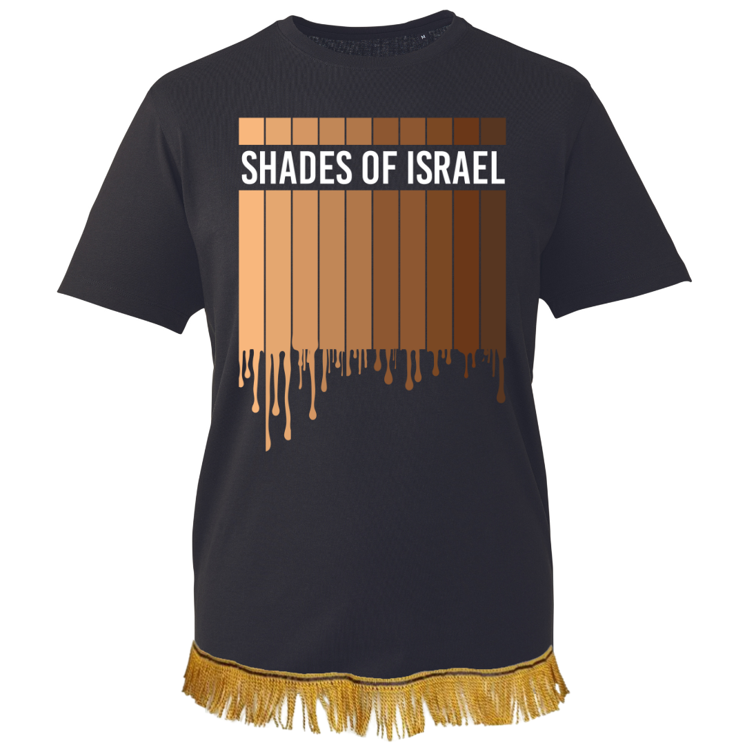 Shades of Israel Men's T-Shirt