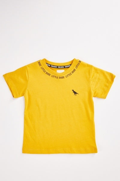 Boys Dinosaur Print Fringed T-Shirt (5 Colours)